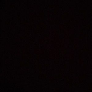 Meet your Posher, Regina